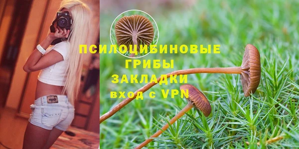амф Нефтегорск