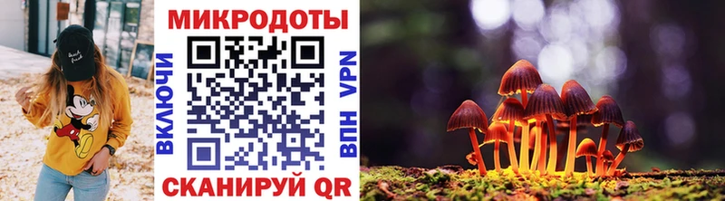что такое   Кубинка  Псилоцибиновые грибы прущие грибы 